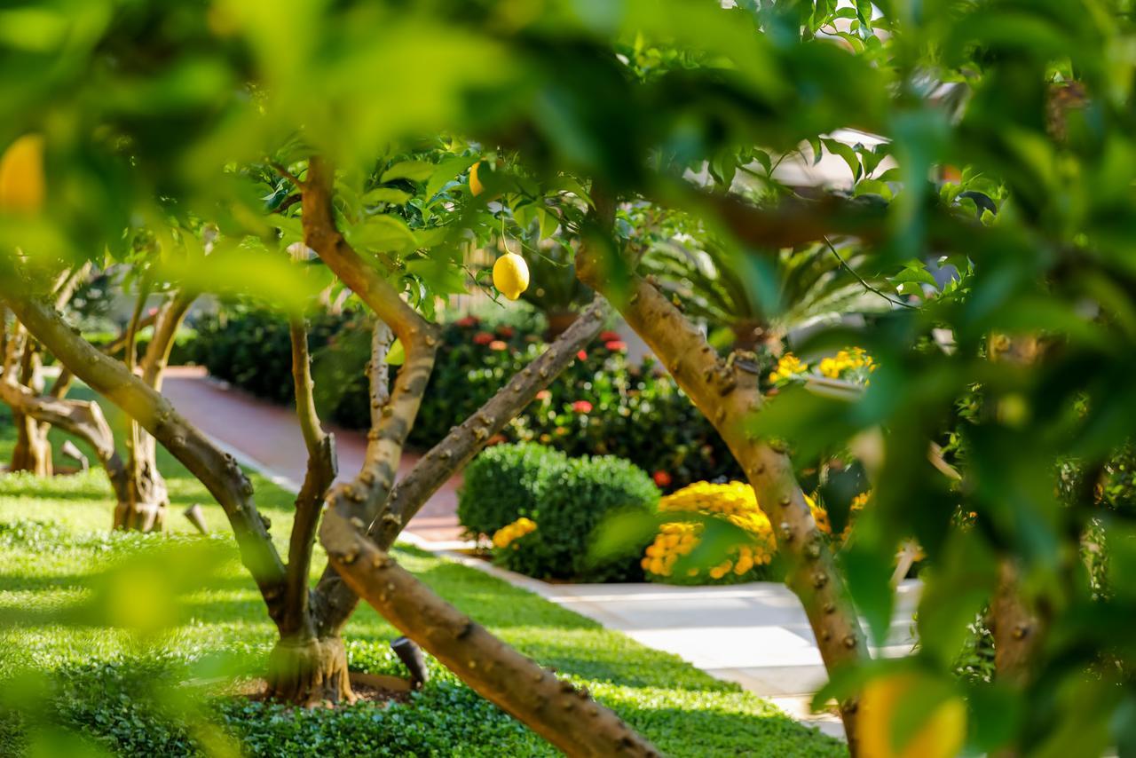 Hotel Lemongarden - Adults Only Сутиван Экстерьер фото