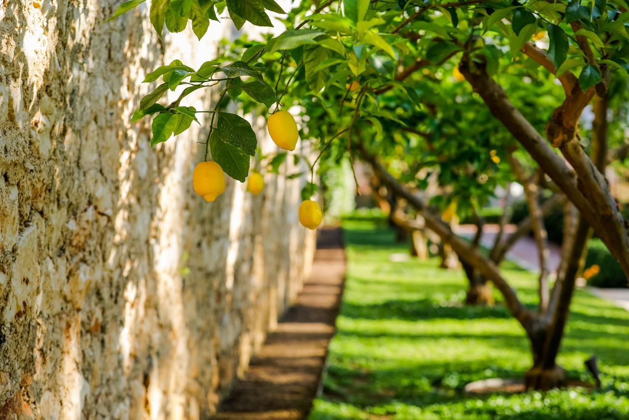 Hotel Lemongarden - Adults Only Сутиван Экстерьер фото